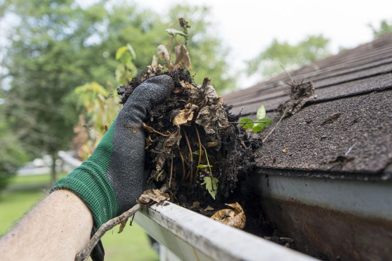 Fall Clean Up Cost Guide — Cost of Fall Clean Up Service