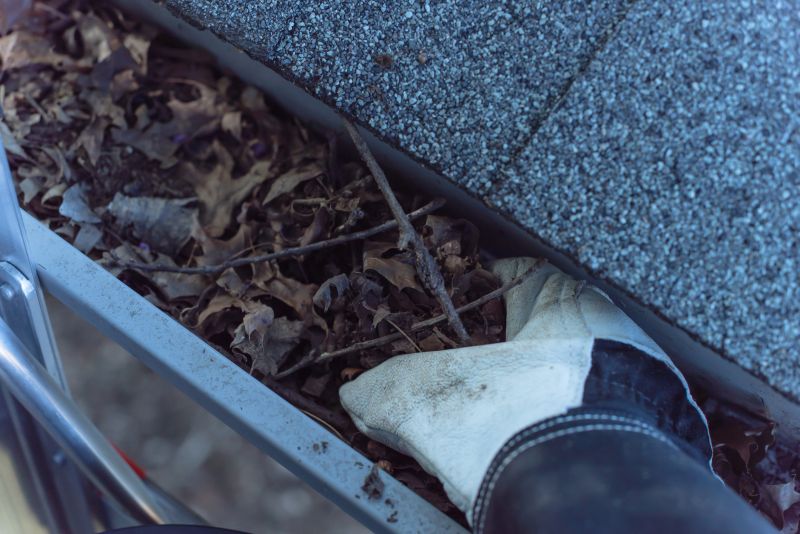 Fall Clean Up Cost Guide — Cost of Fall Clean Up Service