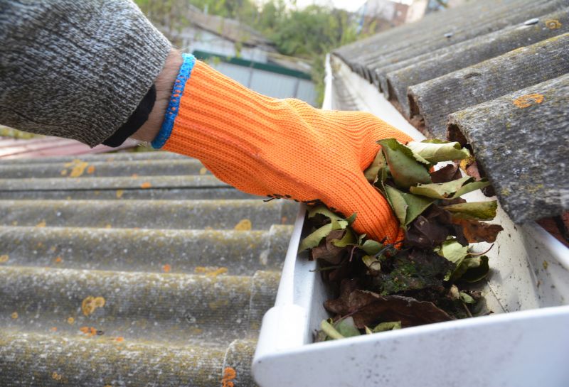 Fall Clean Up Cost Guide — Cost of Fall Clean Up Service