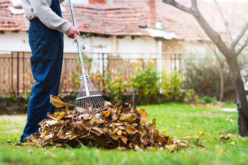 Fall Clean Up Cost Guide — Cost of Fall Clean Up Service