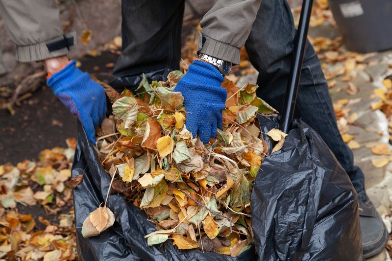 Fall Clean Up Cost Guide — Cost of Fall Clean Up Service