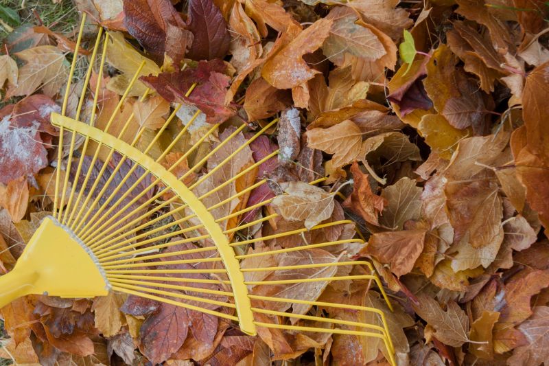 Tools You Actually Need