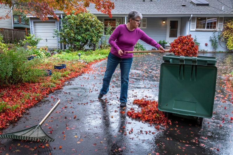Fall Clean Up Service