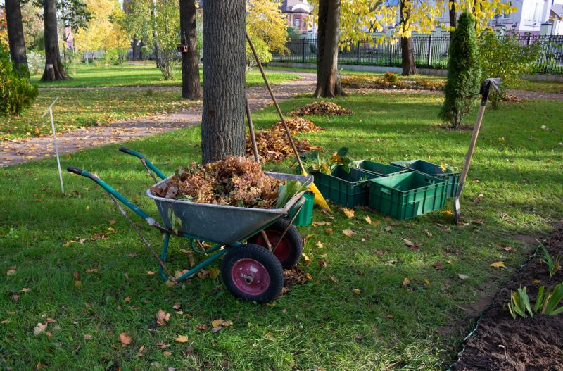 Fall Clean Up Service