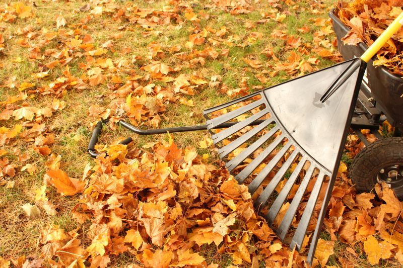Removing fallen leaves prevents them from smothering your grass