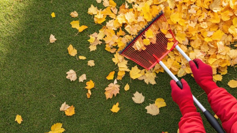 Clearing leaves before winter ensures your yard is ready for the colder months